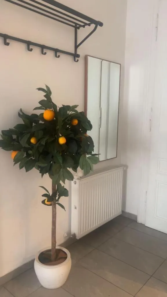 City Apartment Vienna Austria