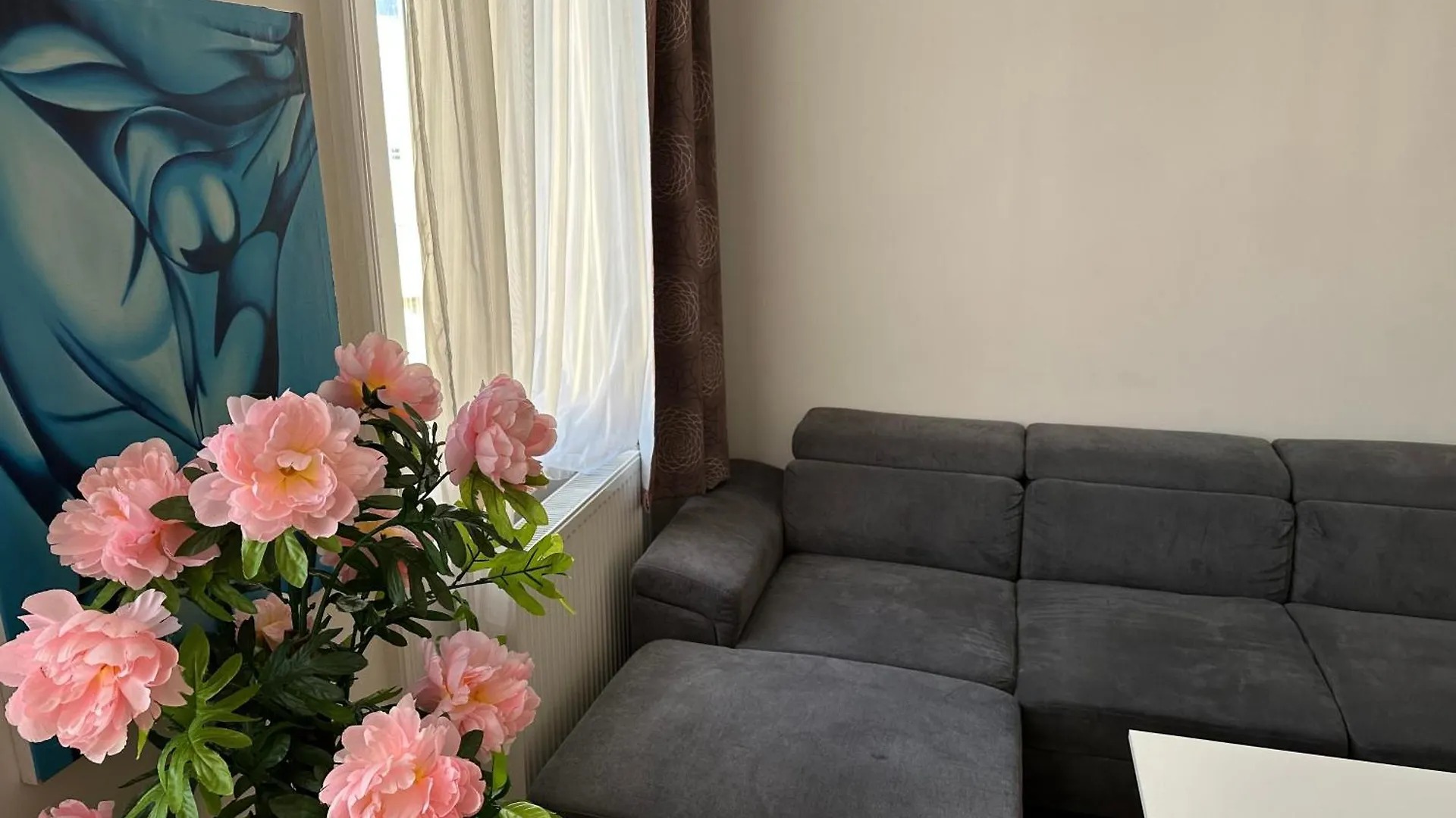 וינה City Apartment